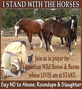 Stand Against Cruelty & Abuse